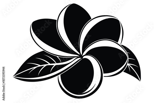 High Quality Plumeria Botanical Silhouette Vector for Creative Professional Projects