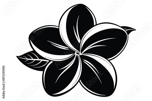 Classic Frangipani Flower Silhouette Element in Monochrome Graphic Style