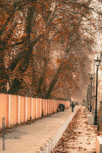 walk in the park 