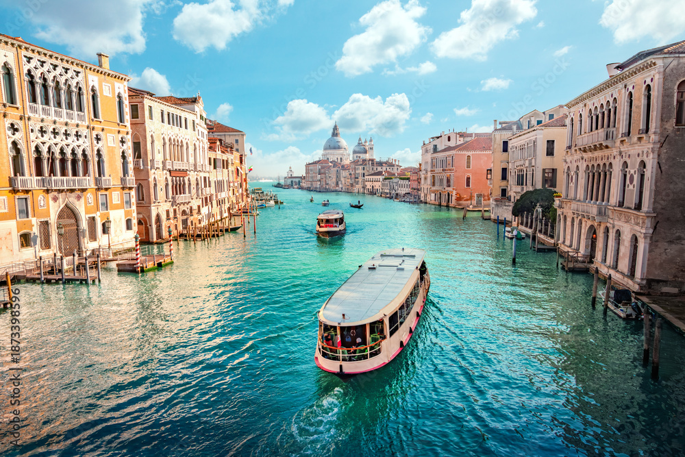 Obraz premium Basilica Santa Maria della Salute in Venice