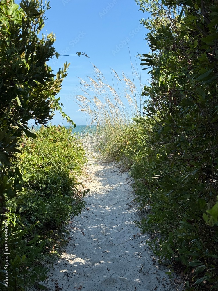 Fototapeta premium beach entry path