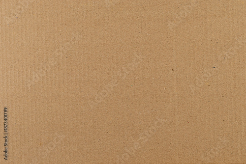 Wallpaper Mural Corrugated cardboard texture for architecture and design projects Torontodigital.ca