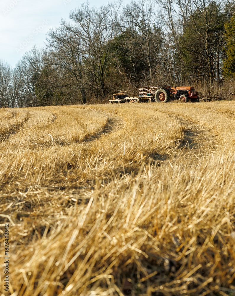 Fototapeta premium field and antique tractor