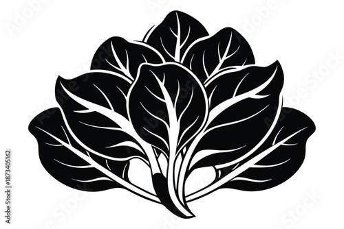 Minimalist Black and White Spinach Silhouette, Healthy Lifestyle and Gardening Graphic Design