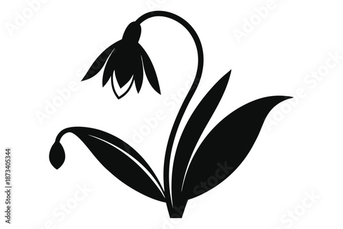 Elegant Galanthus Snowdrop Silhouette in Black and White, Spring Garden Flower Graphic Illustration for Invitations