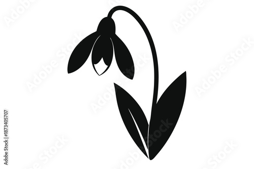 Elegant snowdrop flower silhouette, a simple black and white vector graphic on a clean white background