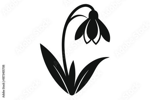 Delicate snowdrop flower silhouette, elegant black and white vector illustration on white background