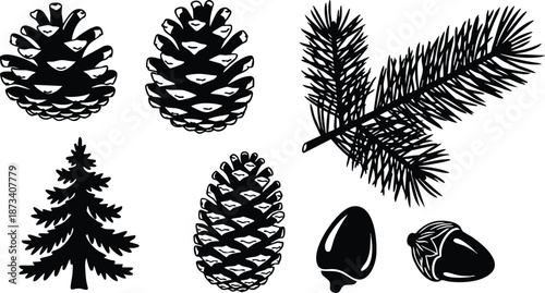 Flat design close up pine cones fir branch and acorns vector set with detailed silhouettes isolated on white botanical illustration top view side view winter decor