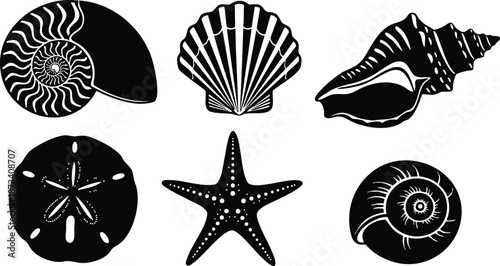 Flat design nautical shell collection close up black silhouette nautilus conch scallop sand dollar starfish isolated on white background top view simple vector stencil line art