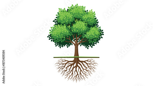 Stylized illustration of a healthy green tree with its intricate root system exposed in a half-circle shape, symbolizing hidden strength and growth.
