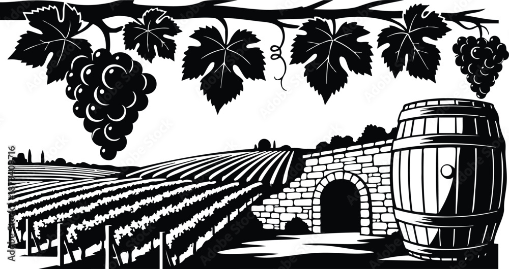 Fototapeta premium Engraving style overhead vine border with hanging grape bunches and large oak barrel by stone wine cellar entrance over rolling vineyard rows in high contrast composition