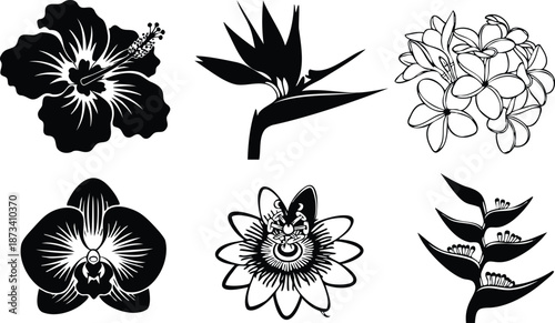 Line art tropical flower icons set close up six botanical silhouettes including hibiscus bird of paradise plumeria orchid passionflower heliconia arranged on white background minimalist vector