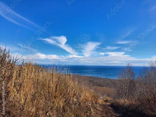 Wallpaper Mural The nature of the Kamchatka Peninsula combines mountainous landscapes and forested areas, and is characterized by its unique topography, flora, and fauna, as well as its climate. Torontodigital.ca