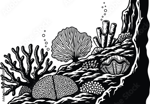 Line art detailed underwater coral reef close up with brain coral fan shell tube sponge on rocky ledge bubbles side view ink engraving monochrome high contrast