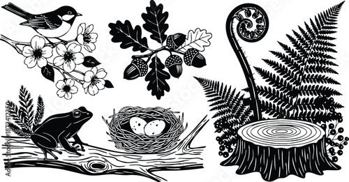Woodcut style close up forest collage with bird on blossom frog on log nest with eggs acorns fern fiddlehead stump detailed black silhouette illustration vector art