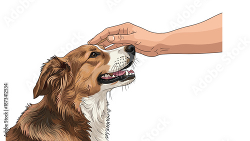 Hand gently petting a happy dog with an open mouth, illustrating the loving bond and connection between humans and their pets.