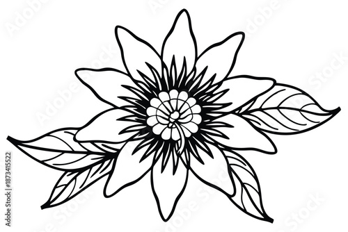 Artistic Passion Flower Line Art - Simple Black and White Vector