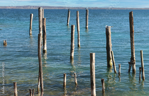 Wooden posts rise from clear blue water under a serene sky