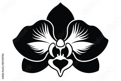Orchid flower head, minimalist black and white silhouette on white background