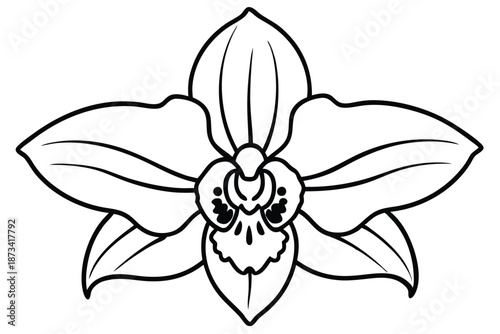 Hand-Drawn Orchid Flower Vector Art, Black and White Botanical Line Illustration
