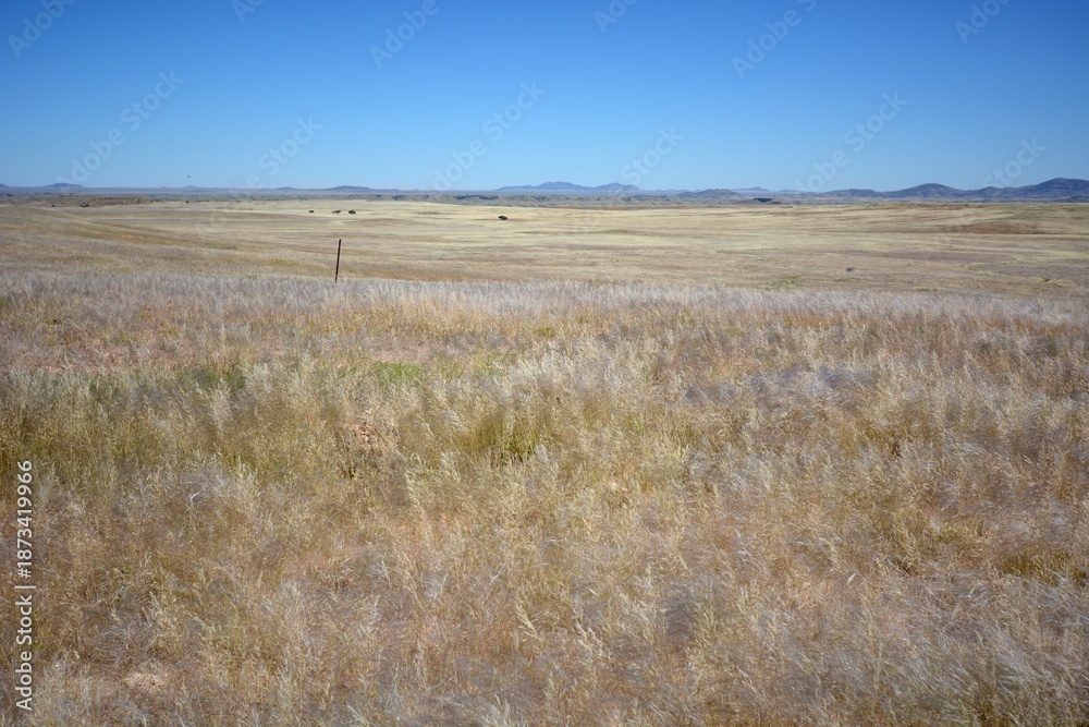 Obraz premium Landschaft beim Gaub Pass in der Namib Wüste nach der Regenzeit