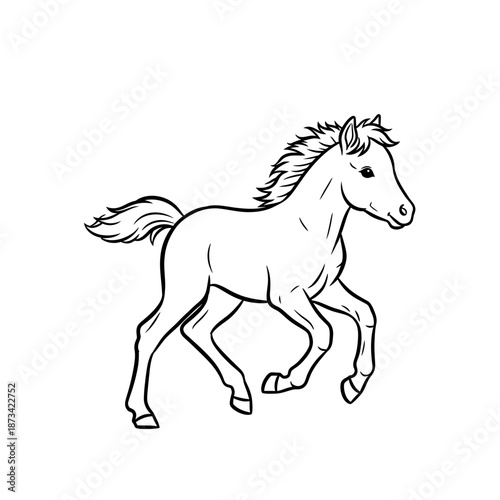 Cute Foal Running Line Art Illustration.