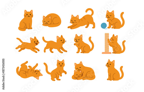 Various adorable cats in playful poses with toys and scratching post