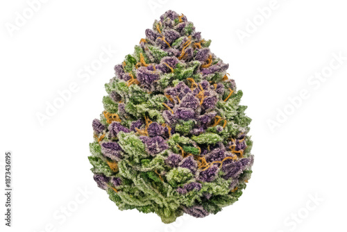 Purple cannabis bud displaying green leaves, orange hairs, and trichomes on a transparent background