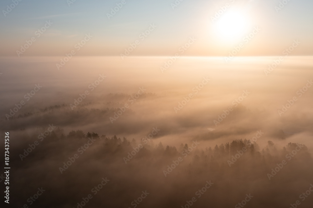 Obraz premium Amazing aerial forest landscape over fog. Poland