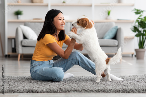 Photography Cheerful young asian woman training her fluffy dog jack russel terrier at home, giving treats for success and smiling, side view, copy space