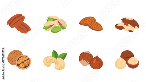 Set of various nuts in flat style on white background