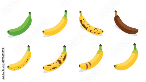Isometric set of bananas showing ripeness stages from green to brown