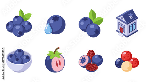 Colorful set of blueberry and fruit icons in isometric style