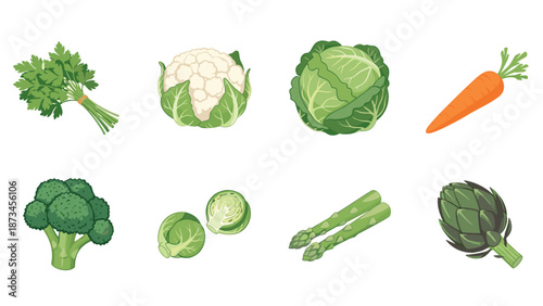 Fresh vegetables collection including cabbage, broccoli, and carrot in flat design