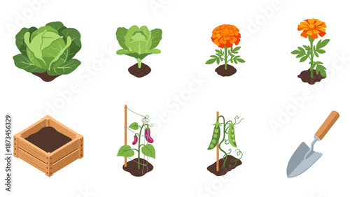 Garden elements collection: vegetables, flowers, tools, and pots in isometric style