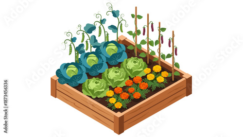 Raised garden bed with vegetables and flowers in isometric view