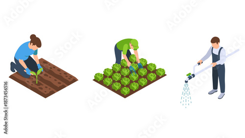 Isometric gardening trio: planting, harvesting, and watering vegetables