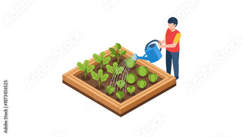 Gardening activity with watering plants in raised bed isometric design