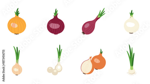Colorful variety of onions: flat design set of fresh vegetables