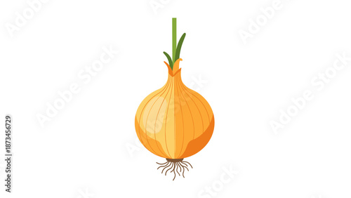Fresh onion with roots and shoots on white background