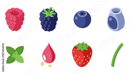 Colorful berry and herb icons in modern flat design for healthy eating