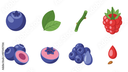 Colorful berries and leaves: vibrant cartoon fruit collection