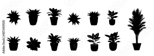 sketches of interior design floor plans, architectural projects