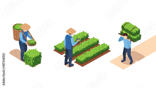 Farming with modern technology: isometric scene of farmers using devices in agriculture