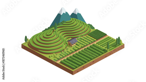 Isometric agricultural landscape with terraced fields and mountains