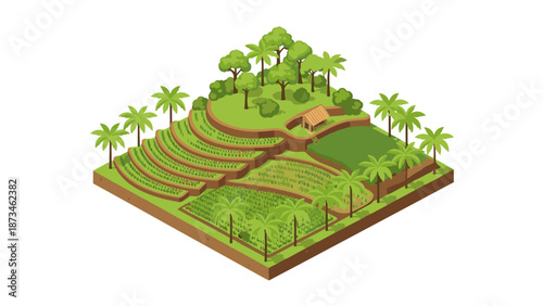 Isometric rice terrace landscape with palm trees and hut