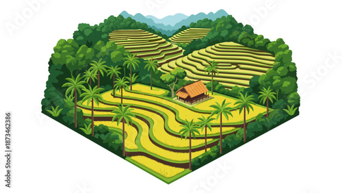 Lush terraced rice fields with tropical palm trees and mountain view