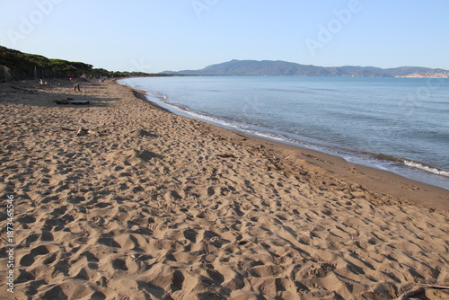 Canvas Print Beautiful scenic view of a wild and empty sandy beach in Albinia, Maremma region, Grosseto province, Tuscany, Italy