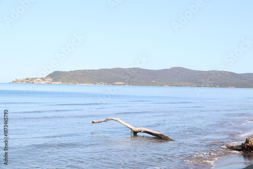 Beautiful scenic view of a wild and empty sandy beach in Albinia, Maremma region, Grosseto province, Tuscany, Italy. Blue sea and Mediterranean coastline under a clear sky.