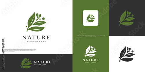 Minimalist natural health logo with a concept of olive leaves and fruit, natural purity, natural products, graphic template illustration.